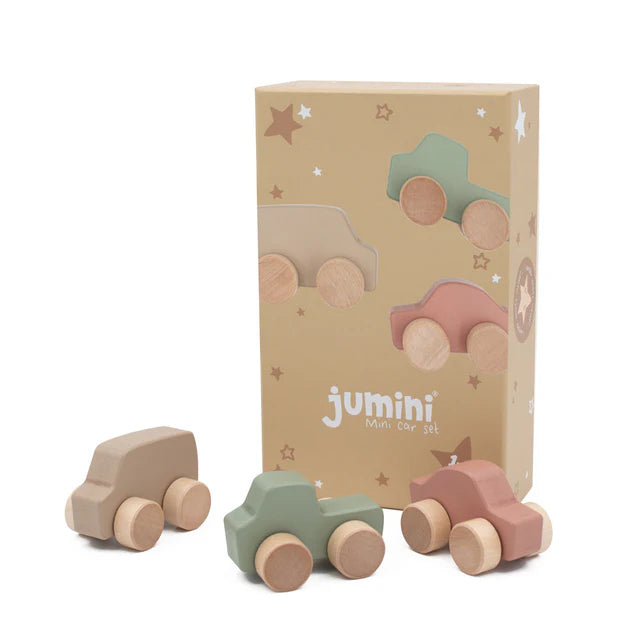Mini Car Set